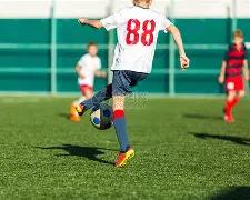 娱乐,明星欠债老,婆追讨,开云体育,开云体育官网,开云体育app,开云体育平台,KAIYUN,SPORTS,kaiyun登录入口