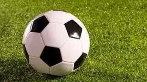 开云体育官网app 资讯 123910 blo