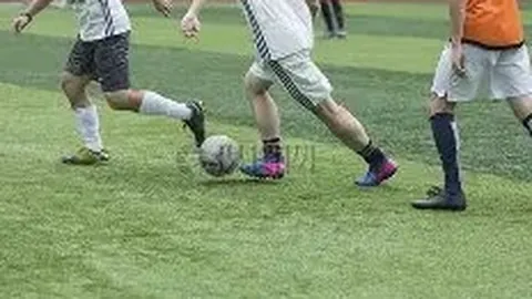 开云体育官网app 资讯 125845 goe