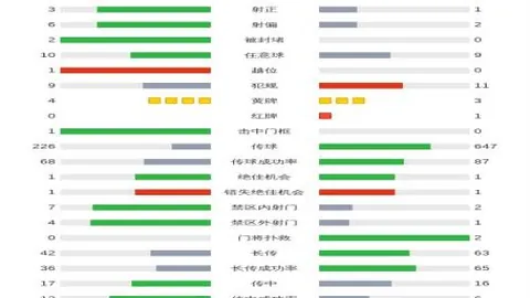 2025年歐洲杯德國比賽：伊杜纳信標公園體育場